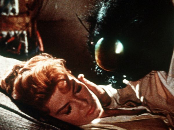 The Fly