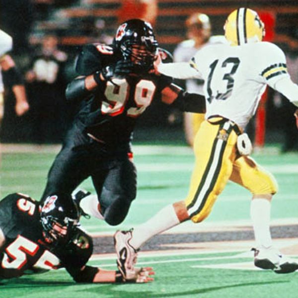 Go Tigers Documentary Online