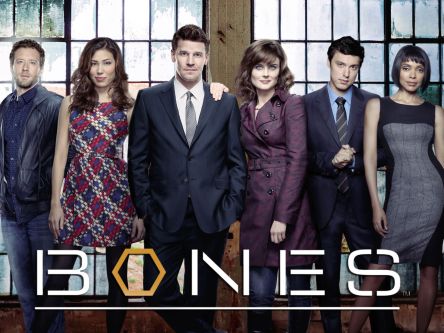 Bones