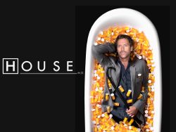 House: Season 04