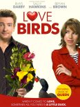 Love Birds