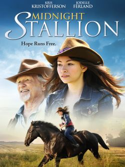 Watch Now Midnight Stallion-(2013) 8