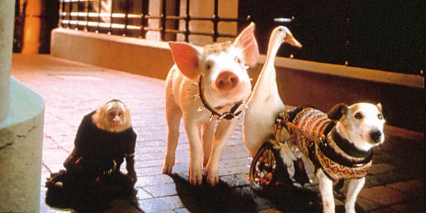 Babe: Pig in the City