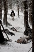 Game of Thrones: Season 01