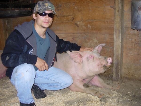 Death on a Factory Farm