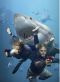 Shark Swarm