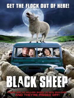 Black Sheep