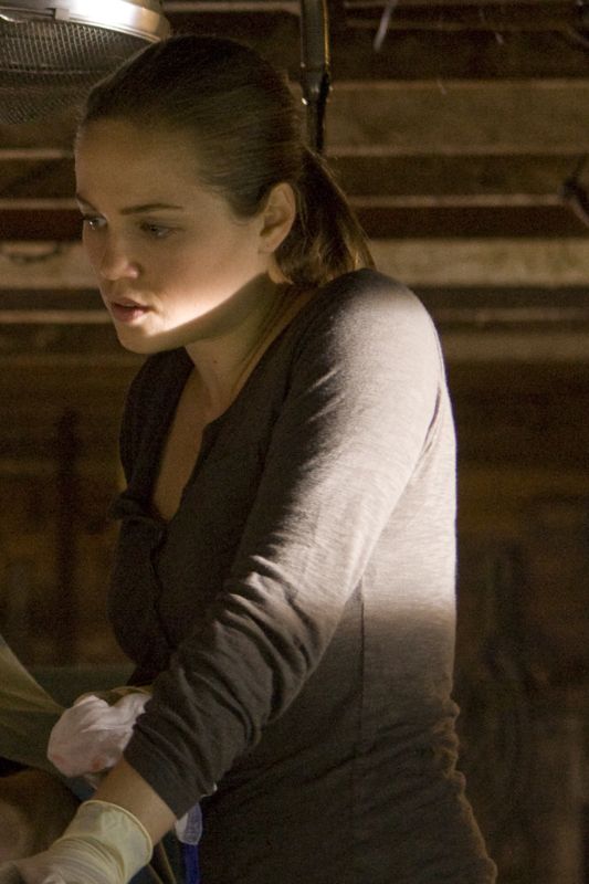 The Tortured (2010) Robert Lieberman Synopsis, Characteristics