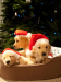 A Golden Christmas 2: The Second Tail
