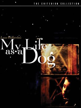 DVD cover
