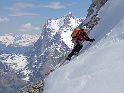The Alps