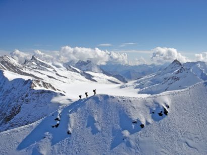 The Alps