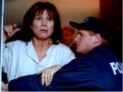 A Murder on Shadow Mountain