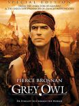 Grey Owl