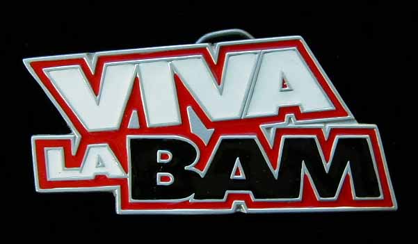 Viva La Bam [TV Series]