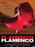 Flamenco, Flamenco