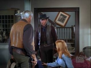 Bonanza: Desperate Passage