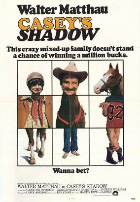 Casey's Shadow