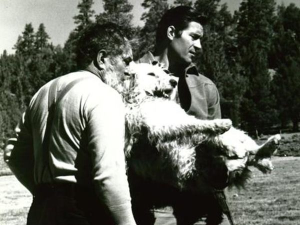 The Night of the Grizzly (1966) - Joseph Pevney | Synopsis