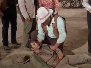 Bonanza: Second Chance