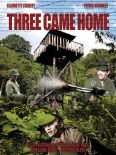 Three Came Home