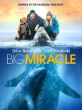 Big Miracle