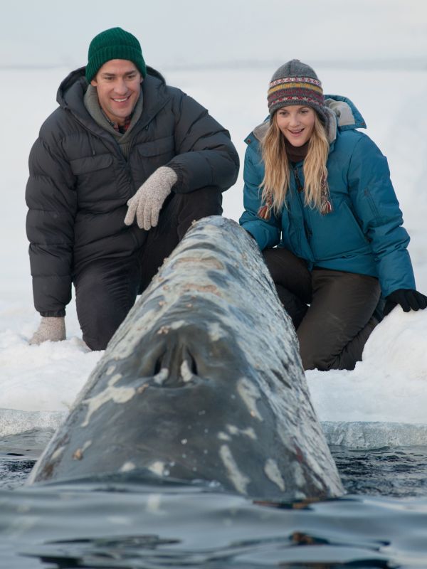 Big Miracle