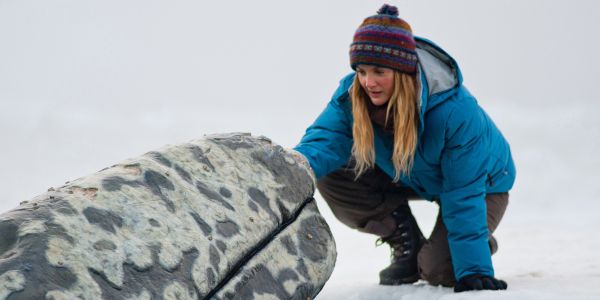 Big Miracle