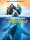 Big Miracle