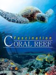 Fascination Coral Reef