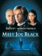 Meet Joe Black