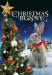 The Christmas Bunny