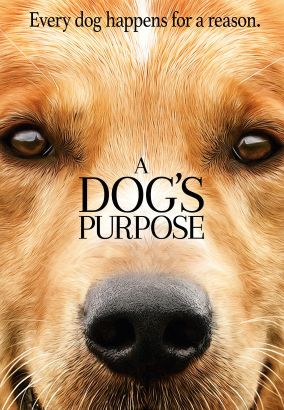 DVD cover