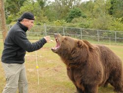 National Geographic Television