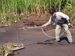 National Geographic Channel