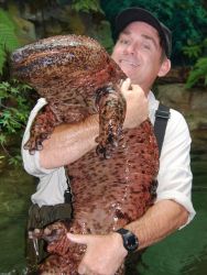National Geographic Channel