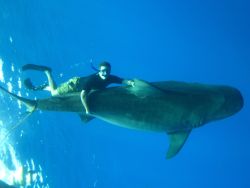 National Geographic Television