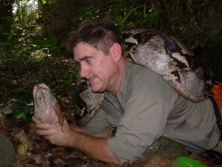 National Geographic Television