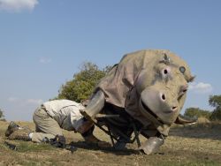 National Geographic Channel