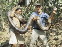 National Geographic Channel
