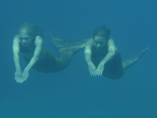 H2O: Just Add Water - Mermaid Magic (2010) - Colin Budds | Synopsis ...