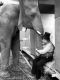 One Lucky Elephant