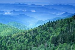 Appalachia: A History of Mountains and People [Film Series]
