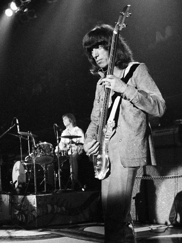 Ladies and Gentlemen: The Rolling Stones