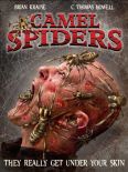 Camel Spiders