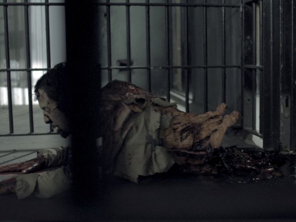Rise Of The Zombies 2012 Nick Lyon Synopsis