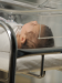 Curiosity: Life Before Birth