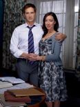 The Firm [TV Series]