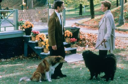 Dog Park