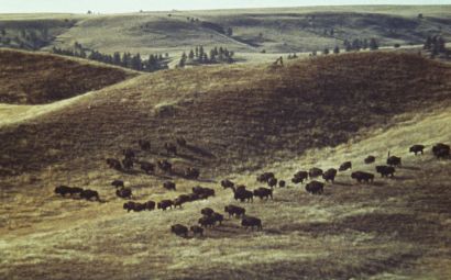 Incident at Oglala: The Leonard Peltier Story